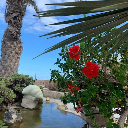 Little Paradise In El Medano 2 Granadilla De Abona Esterno foto