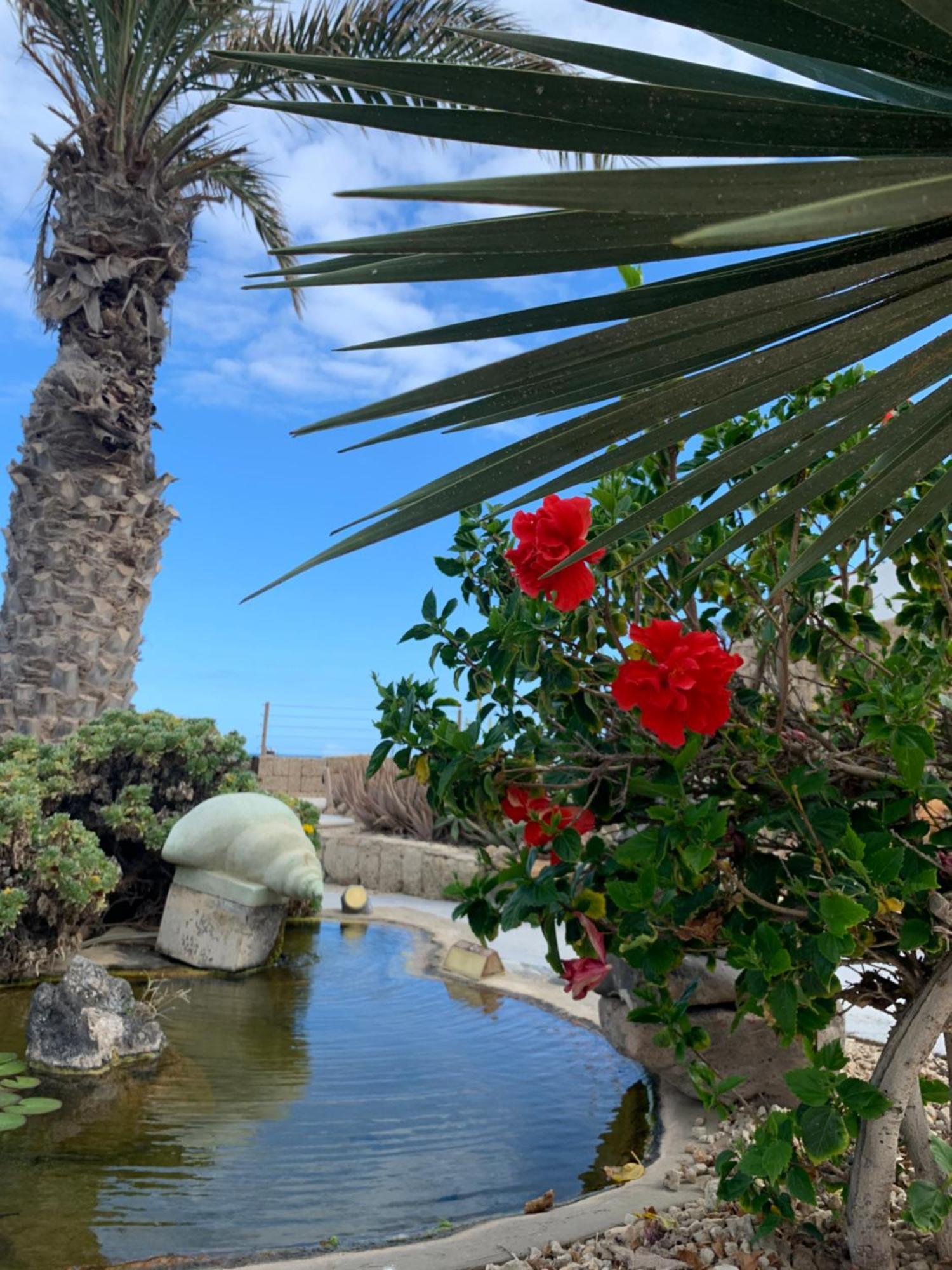 Little Paradise In El Medano 2 Granadilla De Abona Esterno foto